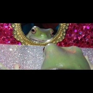 Meet your Posher, Gabby